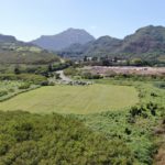 Don Kyle (donk*@*ail.com)